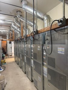 Petersburg Laundry Feb 2026 